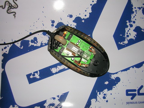 �������ý���+Ы������ţ�100Ԫ����