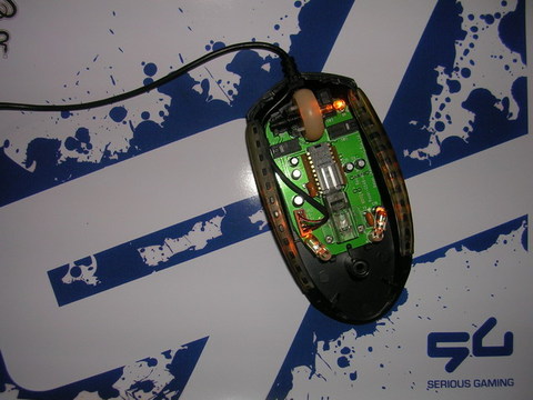 �������ý���+Ы������ţ�100Ԫ����