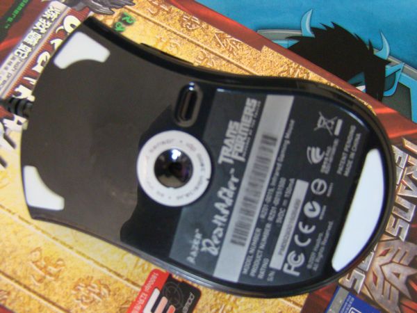 ���� �ѳ�  ���룡