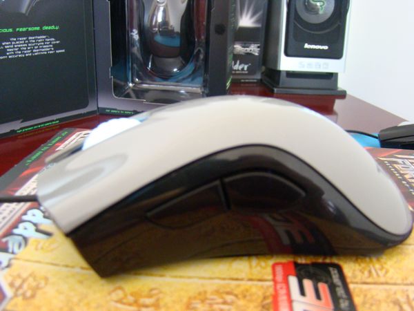 ���� �ѳ�  ���룡