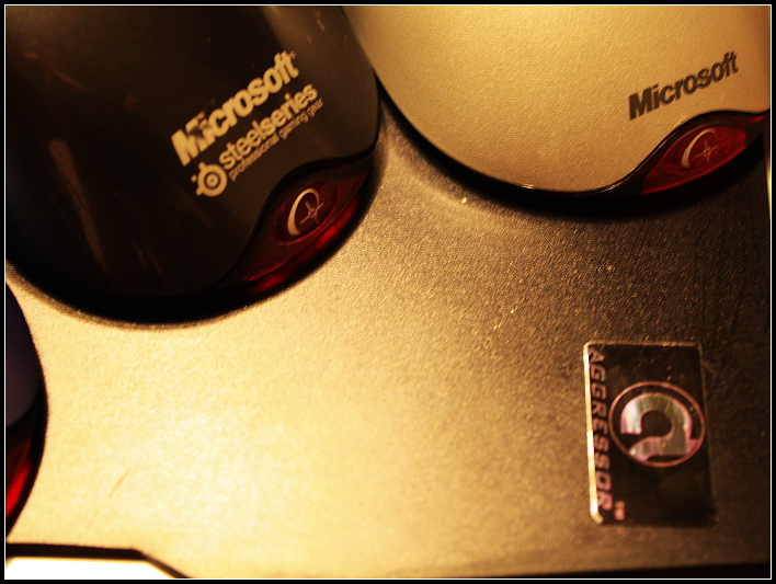 _MG_3955.JPG
