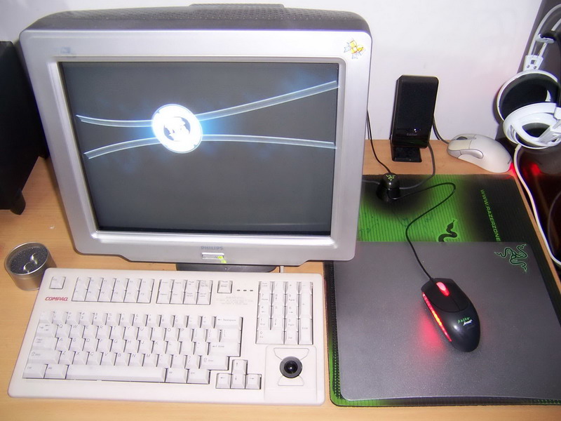 krait 018_������С.jpg