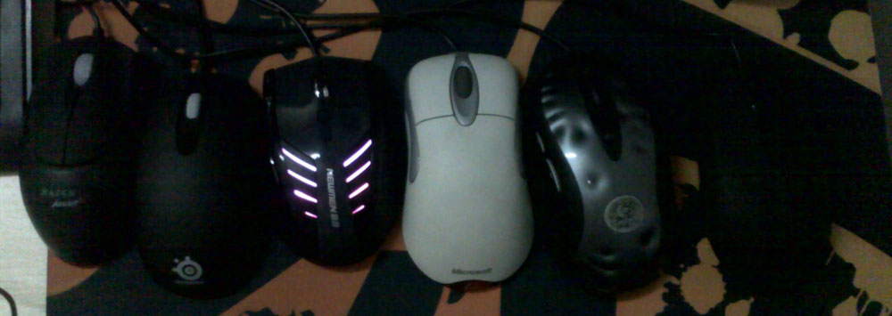 20100616059.jpg