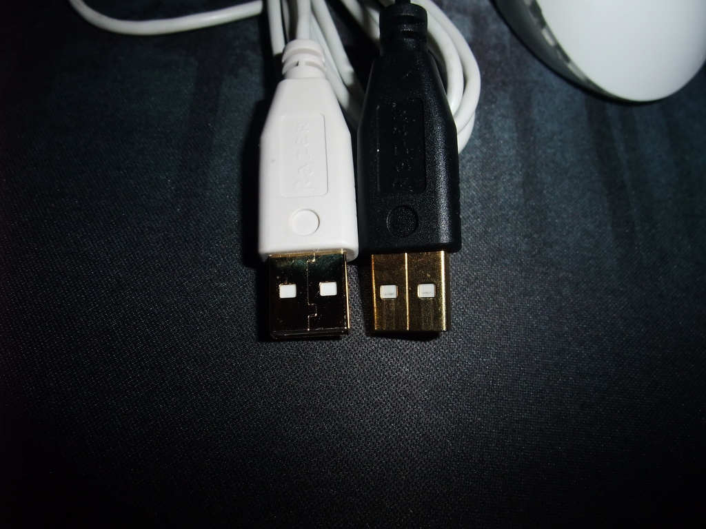 DSCF5200.jpg