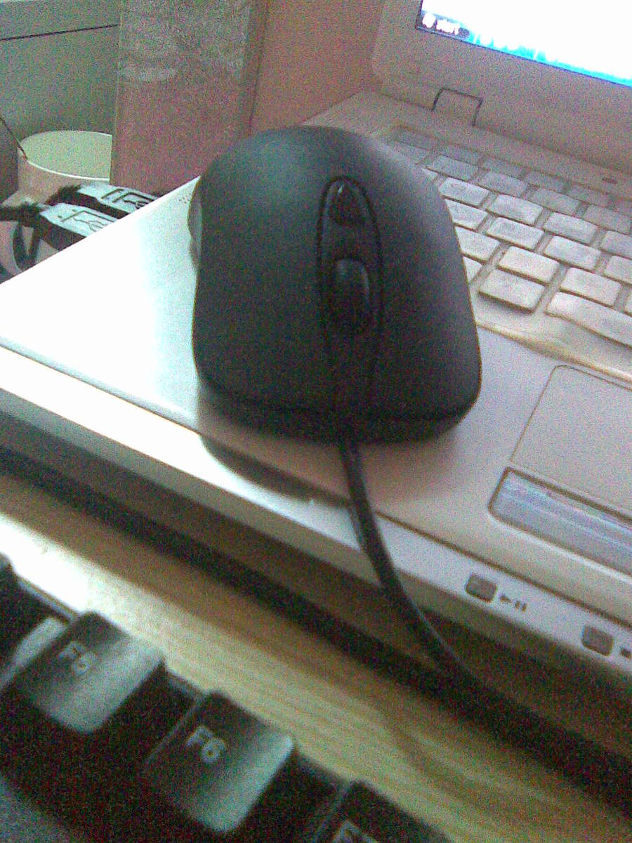 �����ѳ�