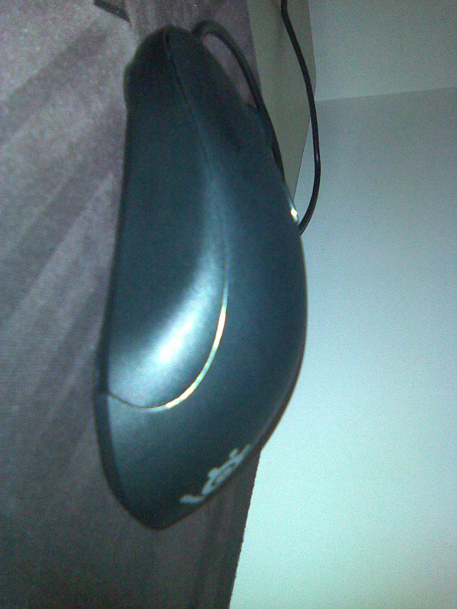 �����ѳ�