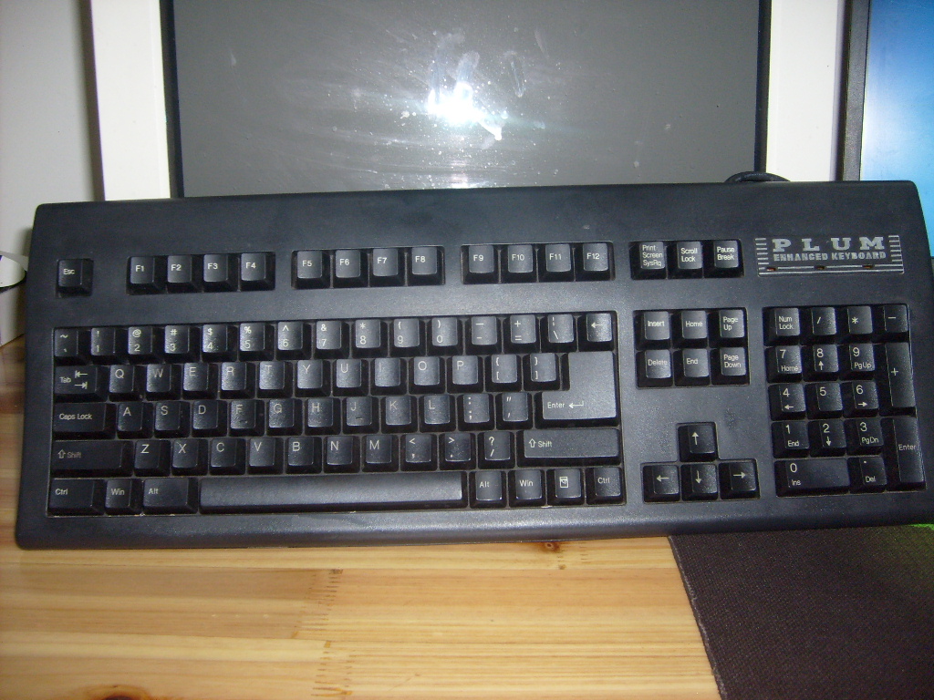 ���� PLUM����