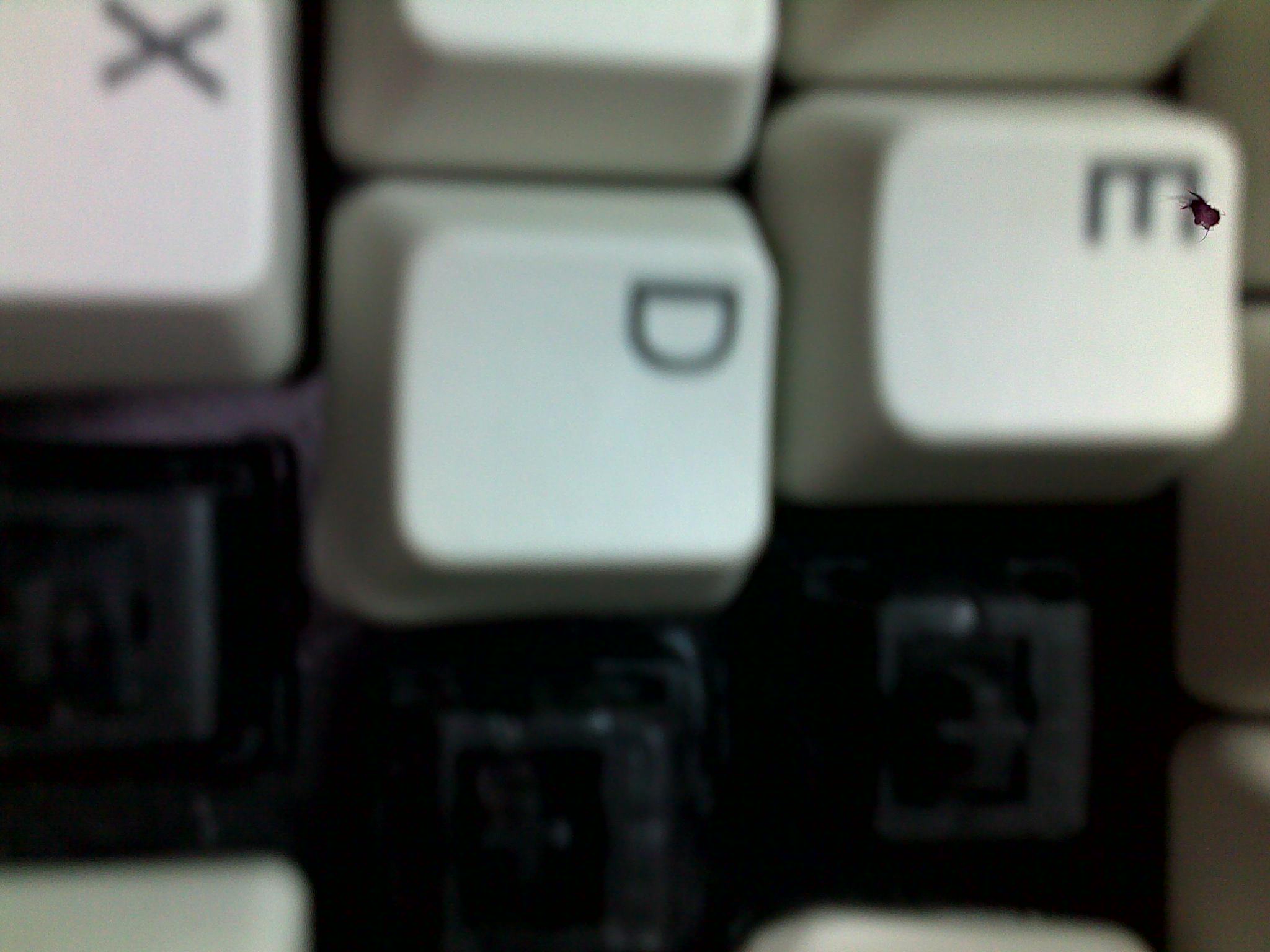 20100620032.jpg