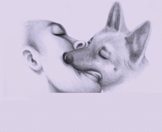 ĳXX̳һͼƬ...