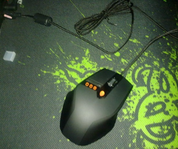 ����������� 9.5��