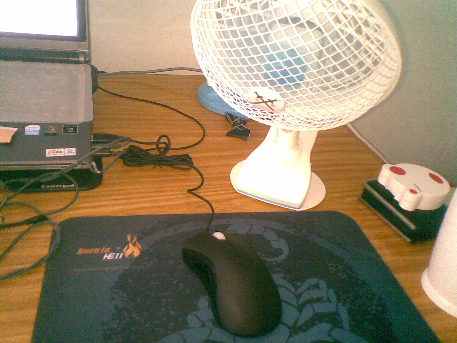20100621.jpg