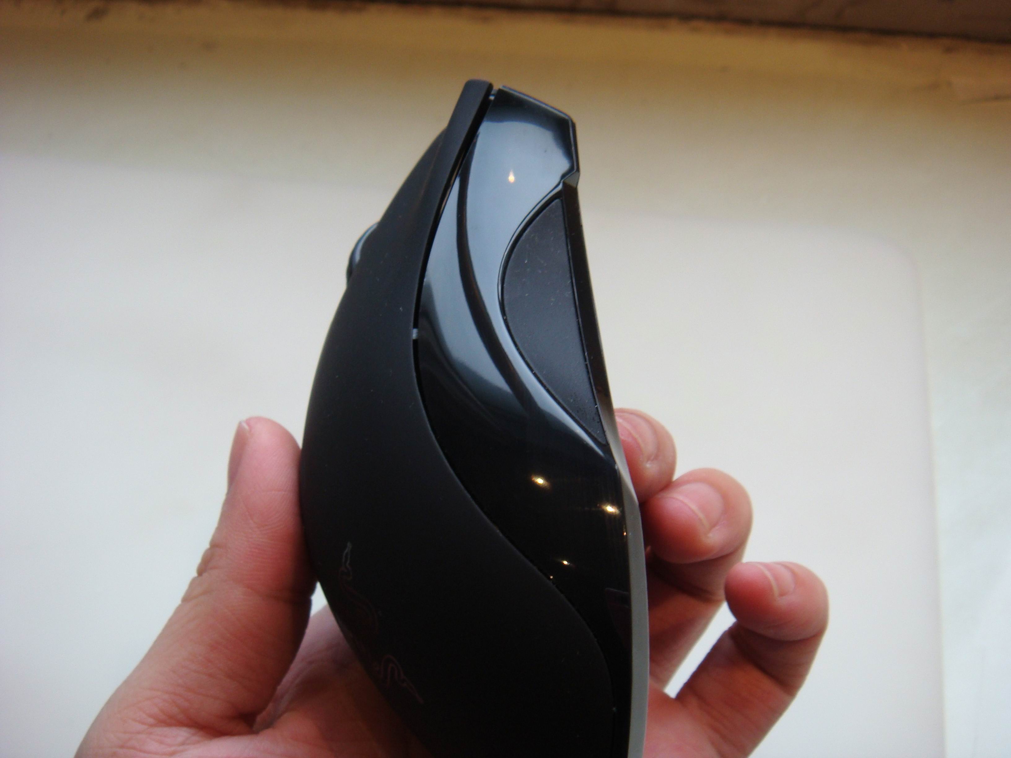 ���� ������ ~~~~~~~