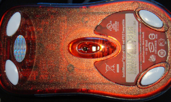 ���� ������ ~~~~~~~