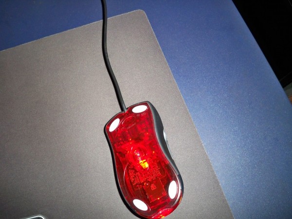 ����6��19�ո����ȫ�º�װKINZU