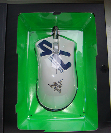 ���� ������ ~~~~~~~