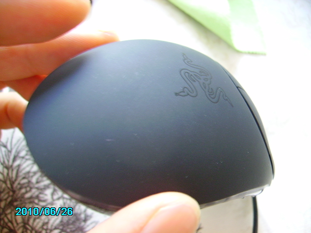 PICT0539.JPG