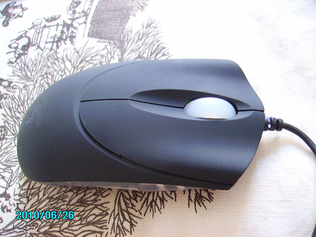 PICT0538.JPG