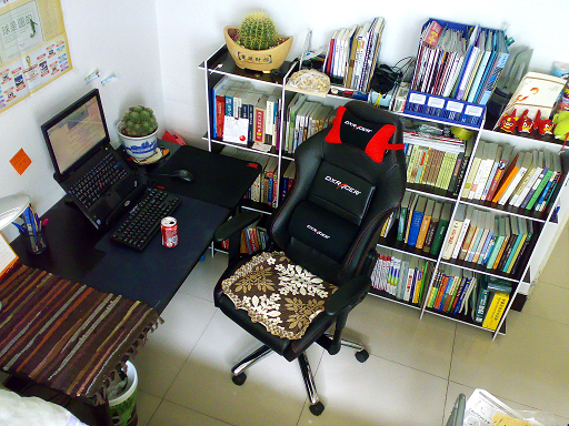 DXRACER ӺͺŵļҵøʣȥԹͶƱ