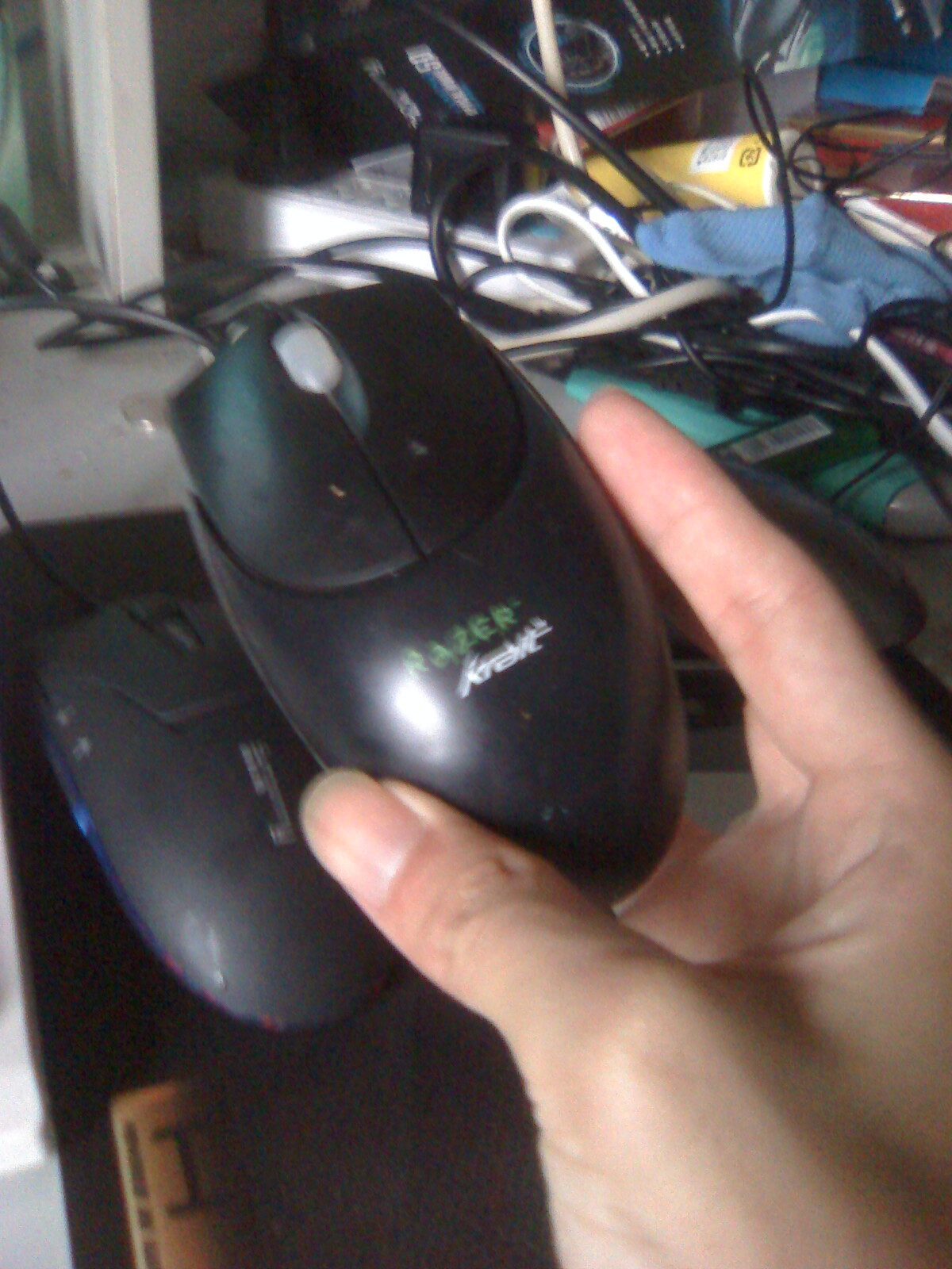 moto_0364.jpg