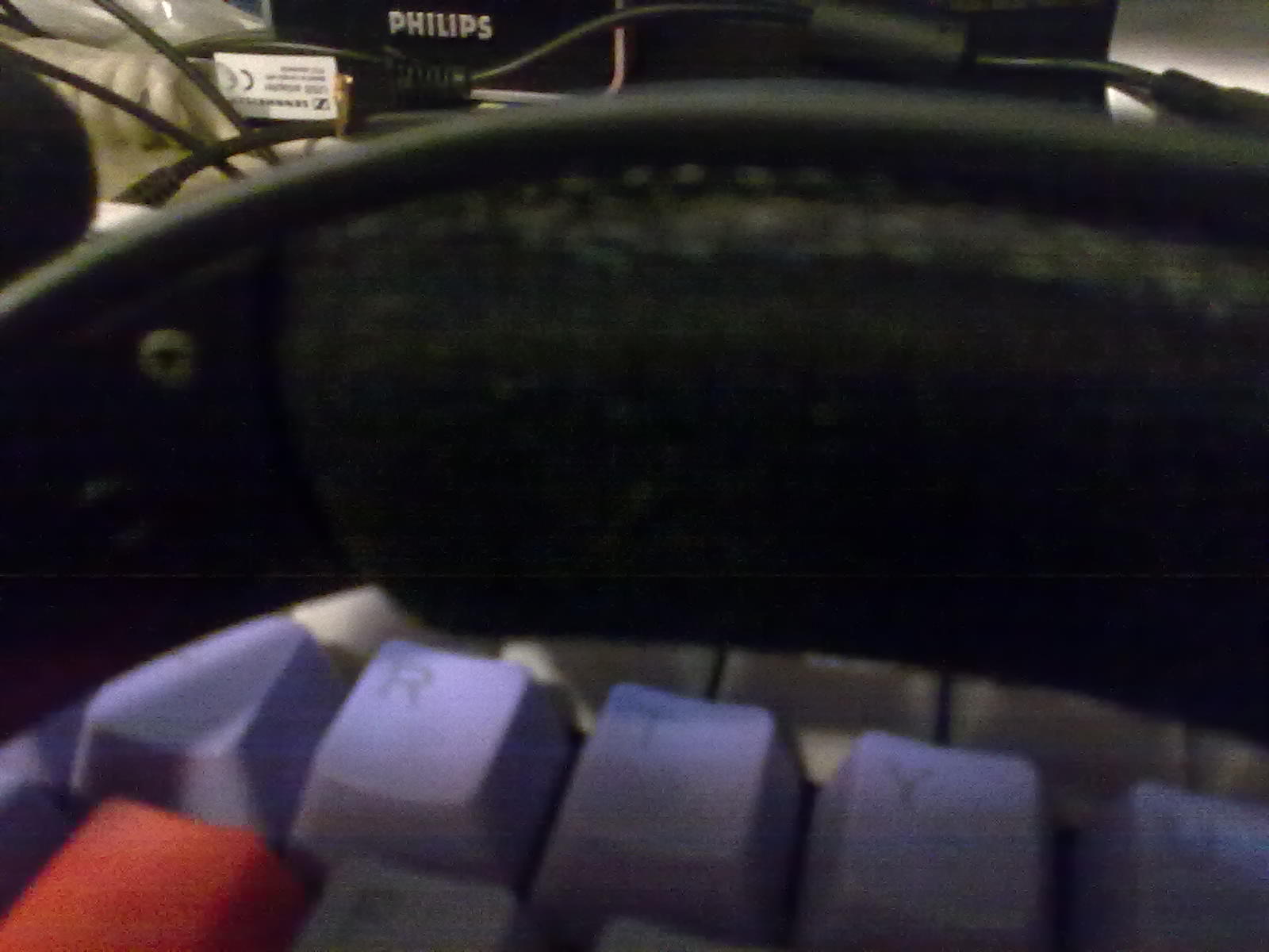 ���� ������