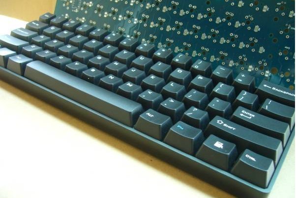 ducky 40.jpg