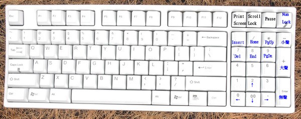 ducky 85.jpg