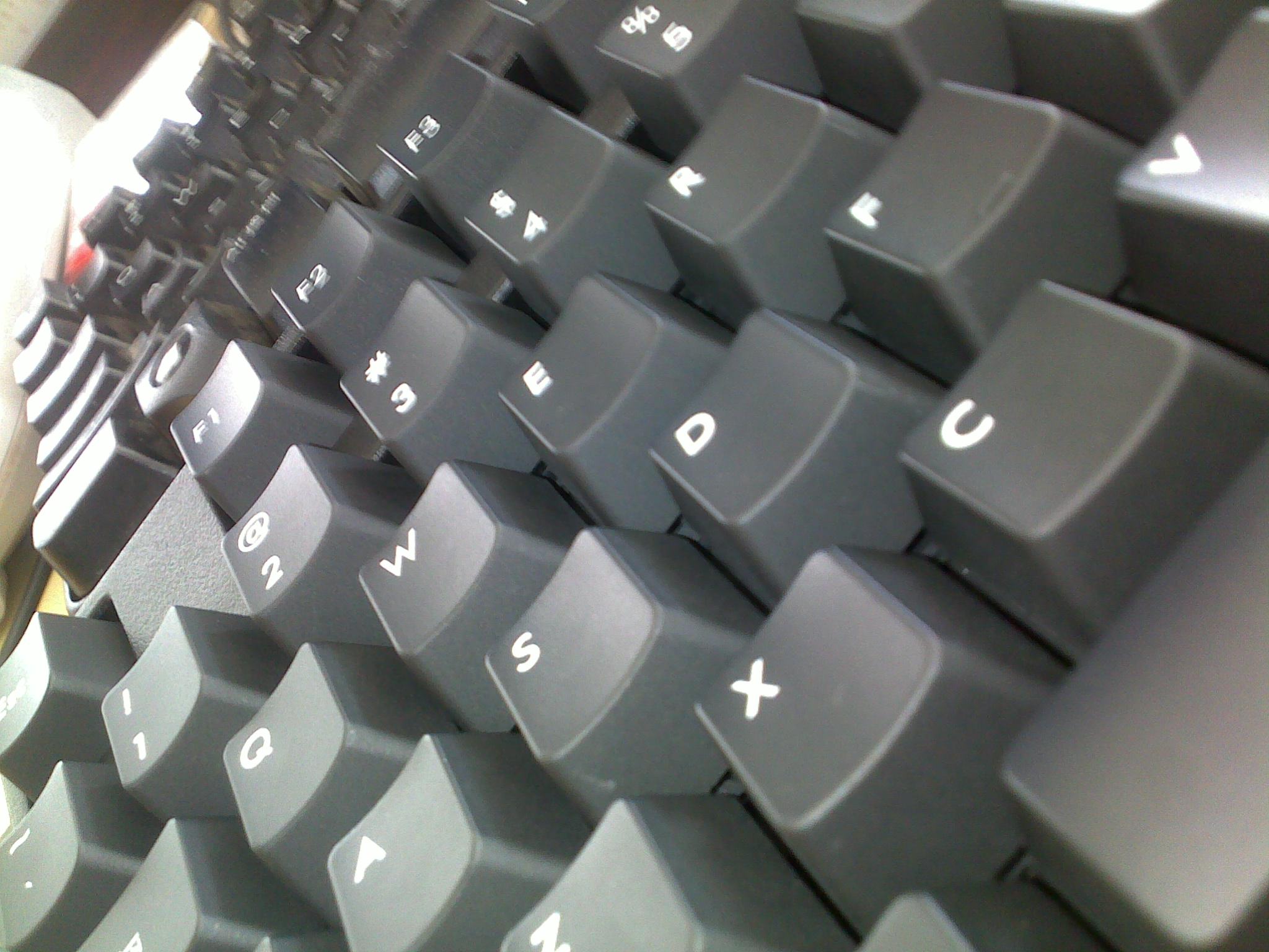 20100504061.jpg