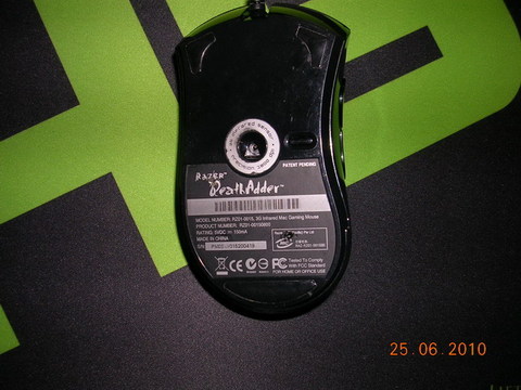 120������������һֻ