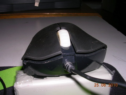 120������������һֻ