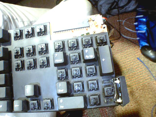 Picture 009.jpg