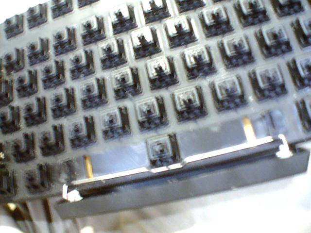 Picture 013.jpg