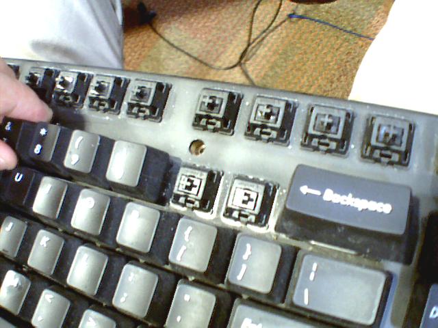 Picture 012.jpg