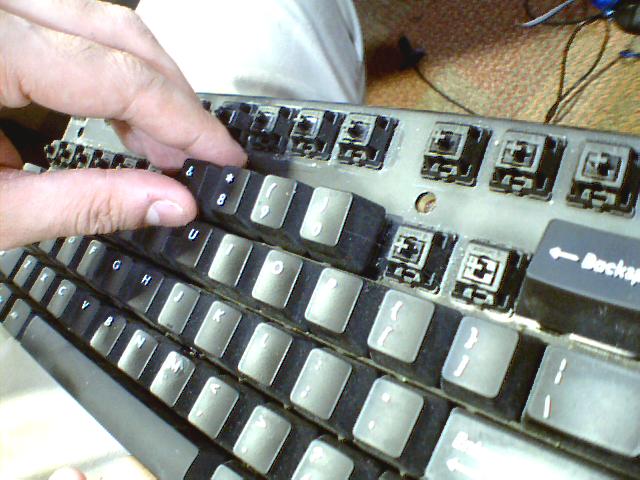 Picture 011.jpg