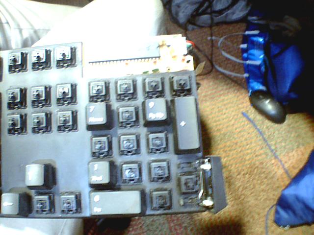 Picture 010.jpg