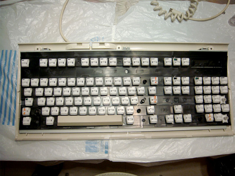��ʿͨ�߼����̣�TANDY����Ʒ��