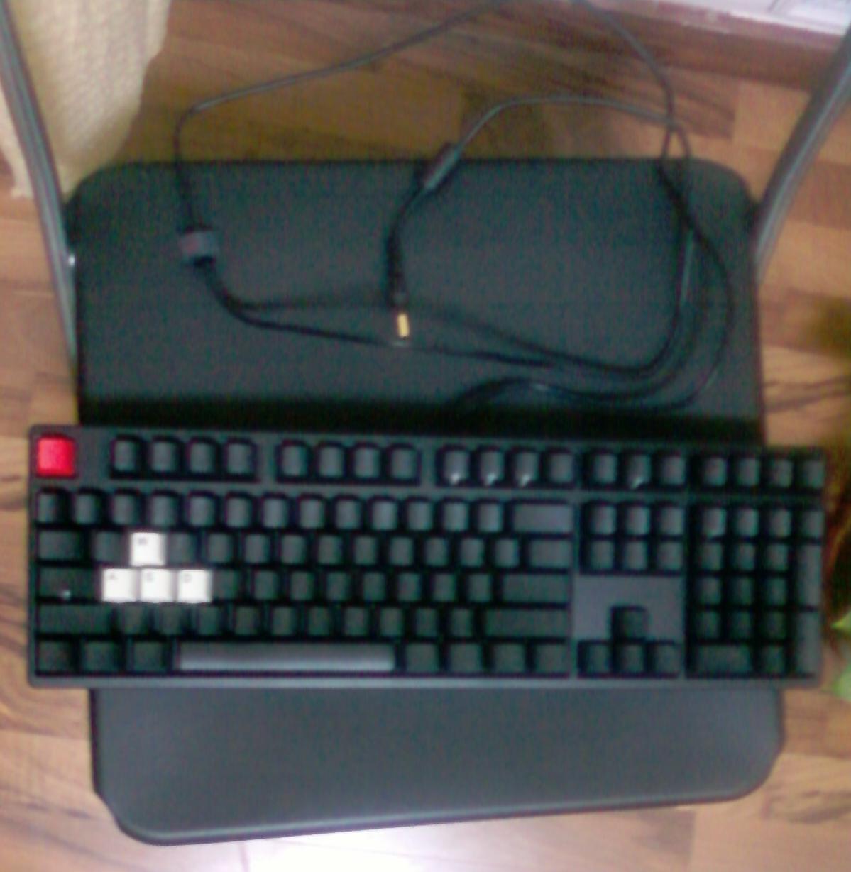 �ո�����˵�� DUCKY ��ͬ
