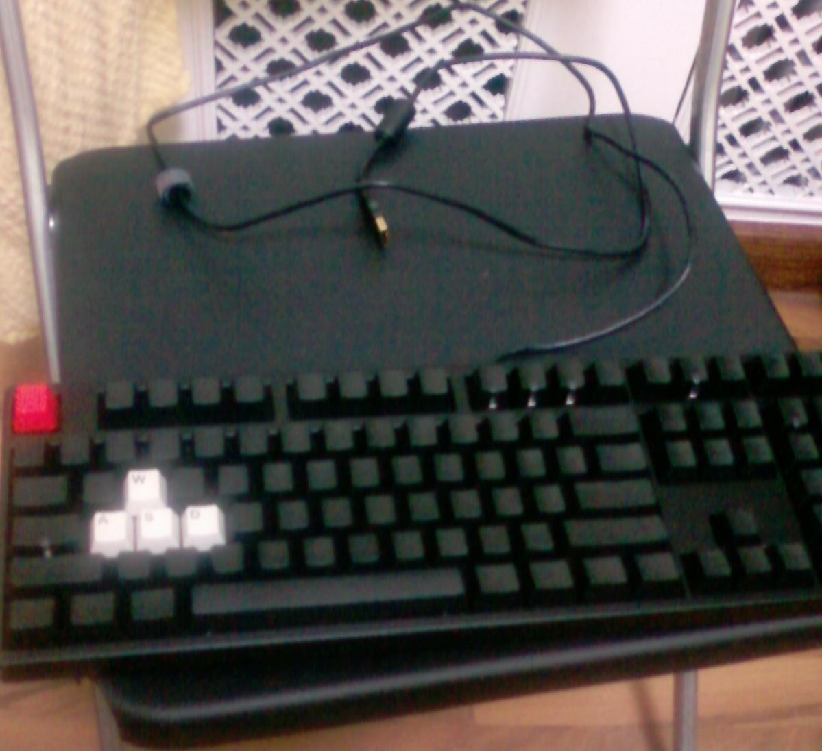 �ո�����˵�� DUCKY ��ͬ