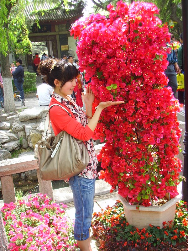 ��̳̳�������Ա���,���Ӹ��飬����ʲô�Ͻ����Ա��ɡ�