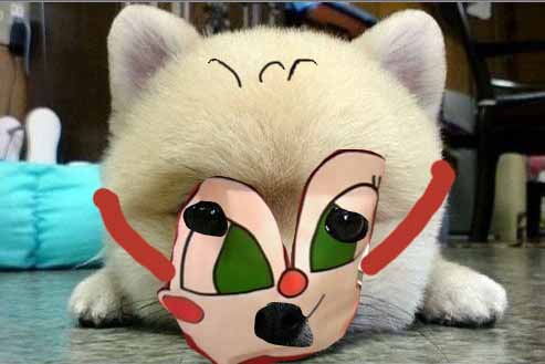 ������߸ֵ�����б�沨��������������������������������������������