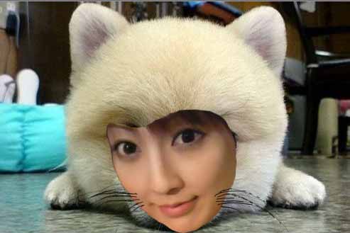 ������;�����鲻�ܳ��ã��������Ǵ������
