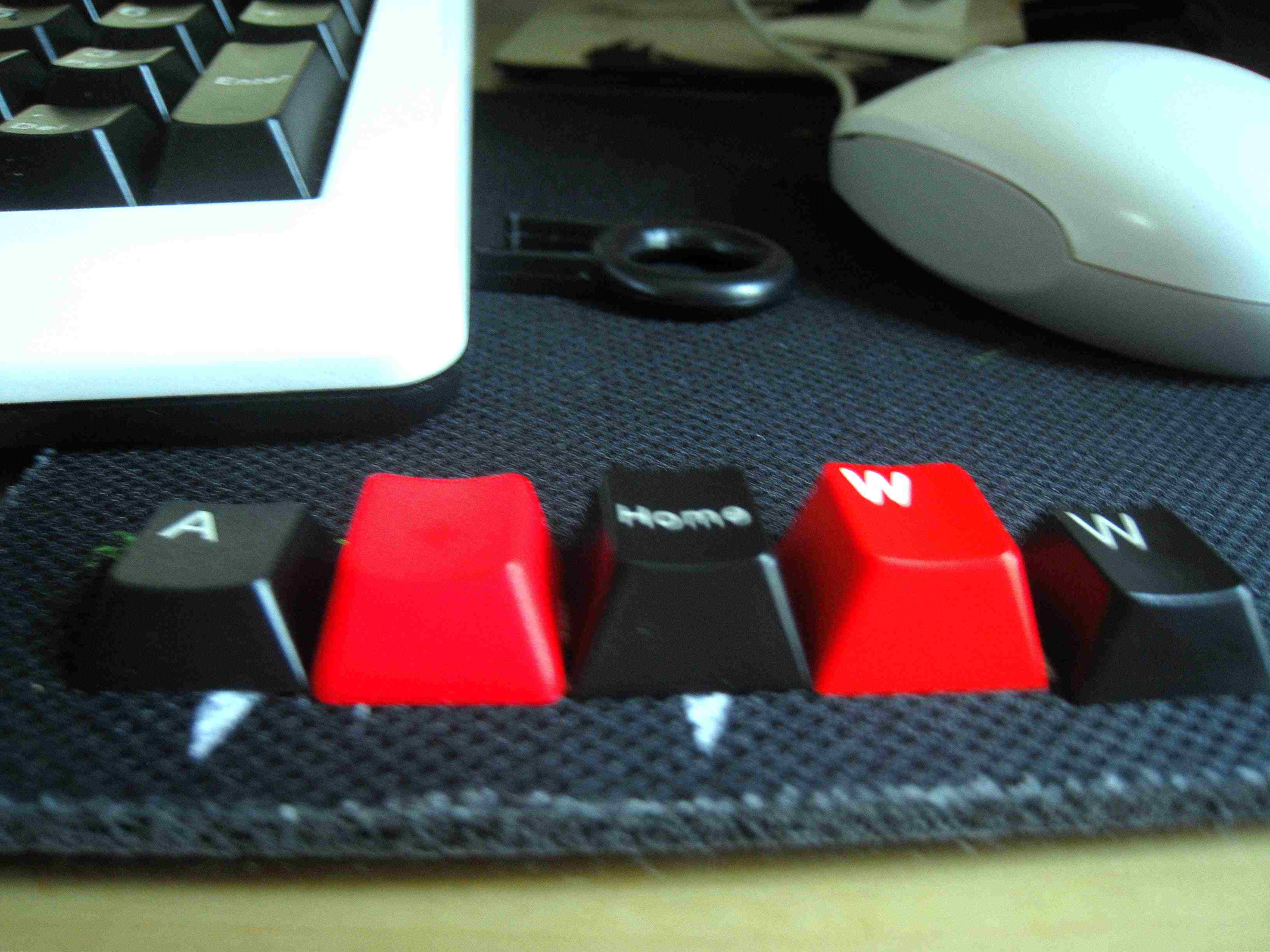 ˮCherry G80-1865 WNVʹּ