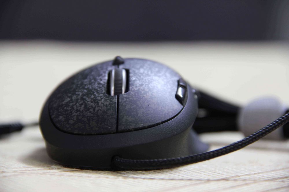 ���ѳ������޼�G500��290�ף�����~֧���Ա����Ϻ����潻������