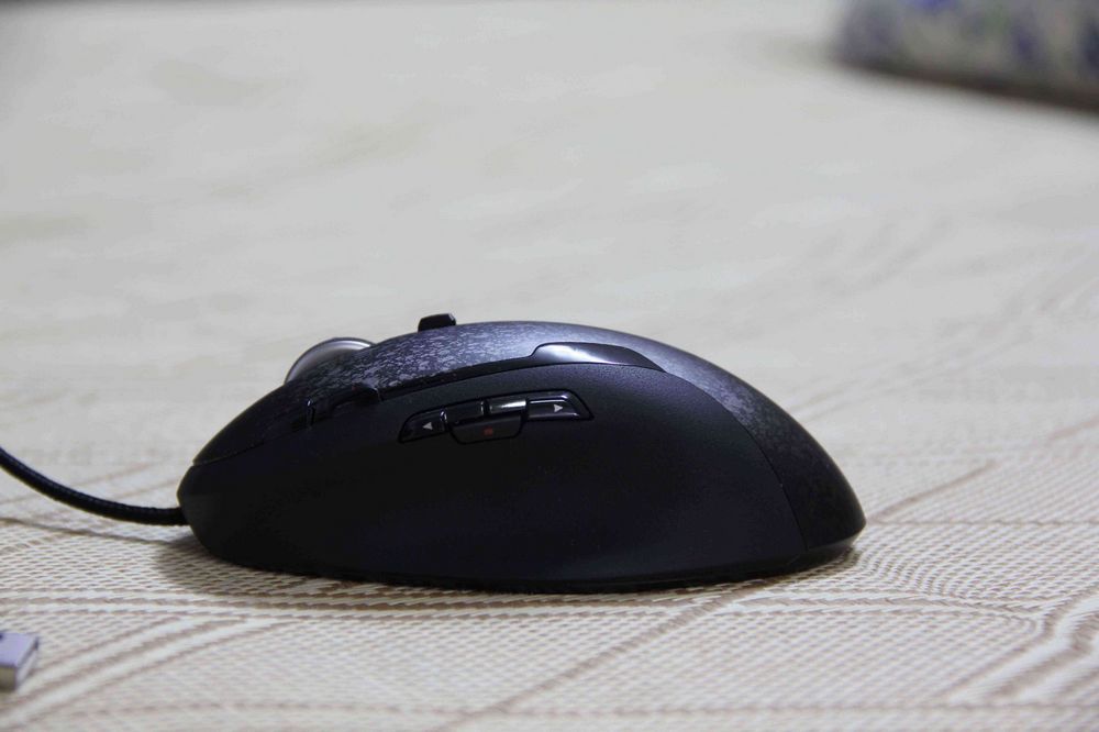 ���ѳ������޼�G500��290�ף�����~֧���Ա����Ϻ����潻������