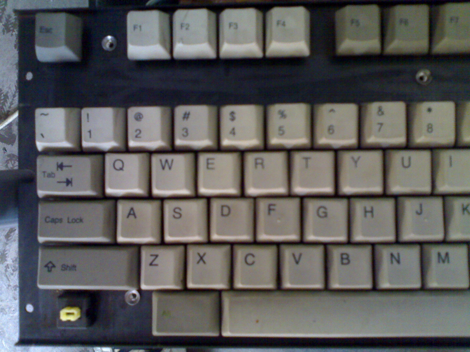 20100608175.jpg