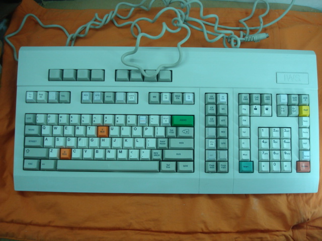 ����������YLJ ����ӣ�һ�е����