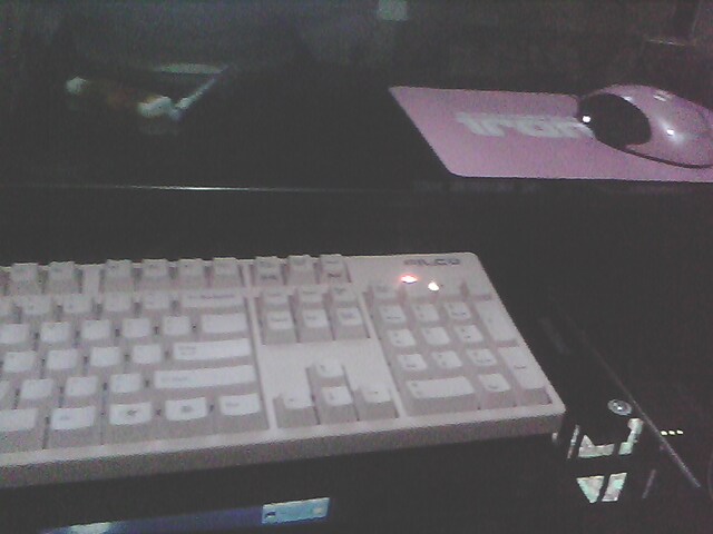 �ո��Filco��steelseries�ۺ�