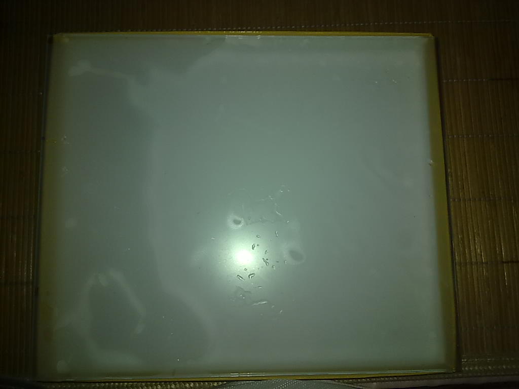 20100709105.jpg