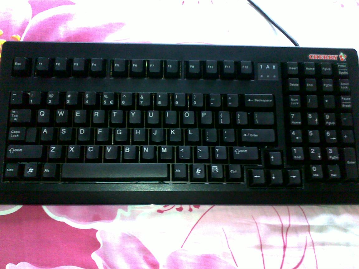 �þ�û�������㶫����Cherry1865�����ѳ���