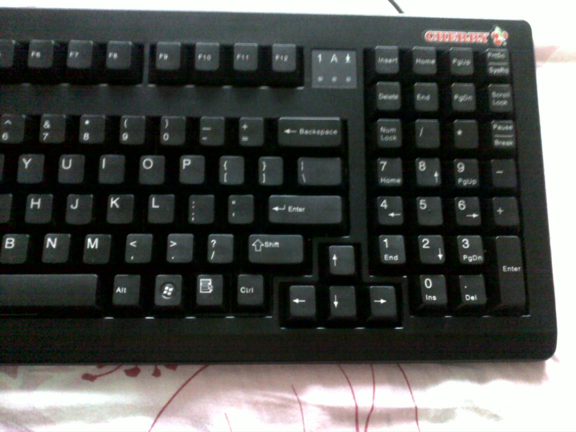 �þ�û�������㶫����Cherry1865�����ѳ���