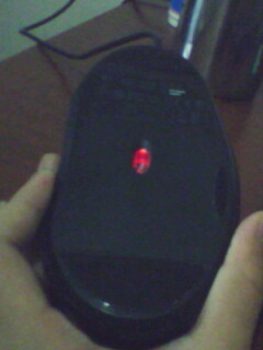 IMG0060A.jpg
